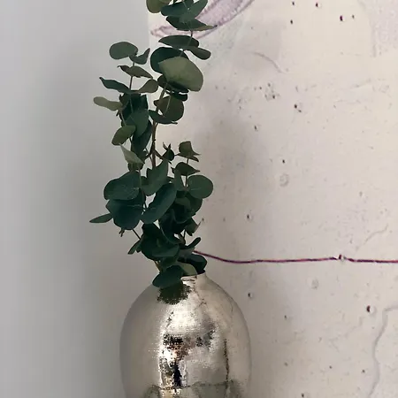 Apartment Maria